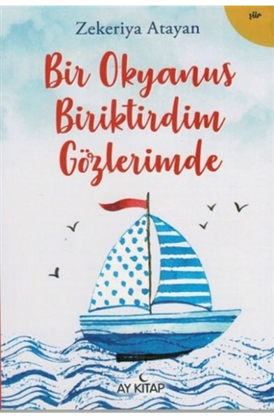 Bir Okyanus Biriktirdim Gözlerimde