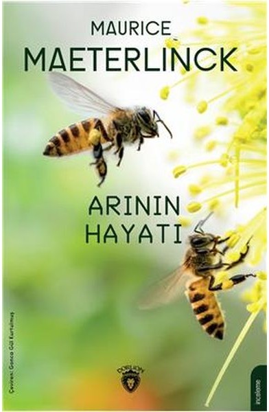 Arının Hayatı