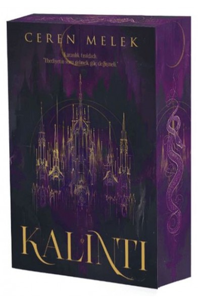 Kalıntı
