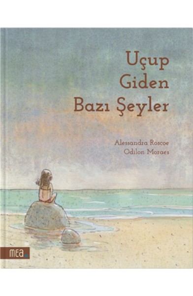 Uçup Giden Bazı Şeyler