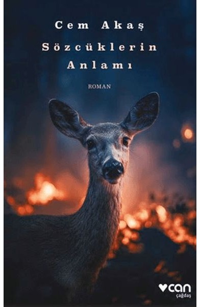 Sözcüklerin Anlamı