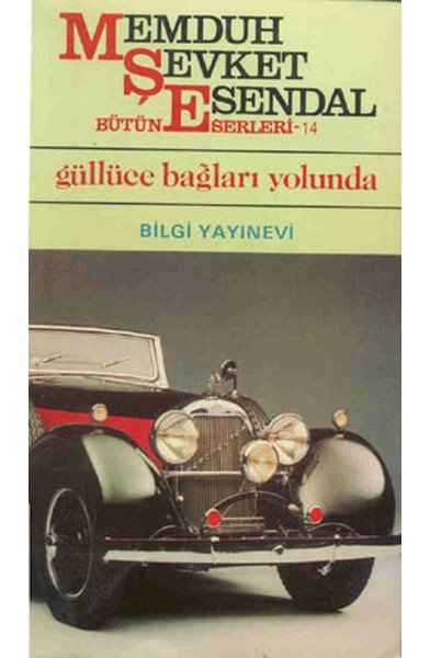 Güllüce Bağları Yolunda