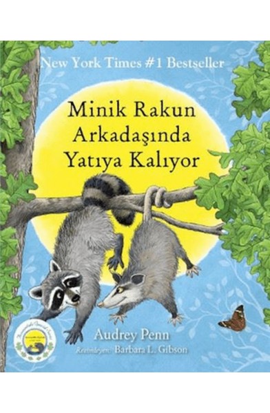Minik Rakun Arkadaşında Yatıya Kalıyor