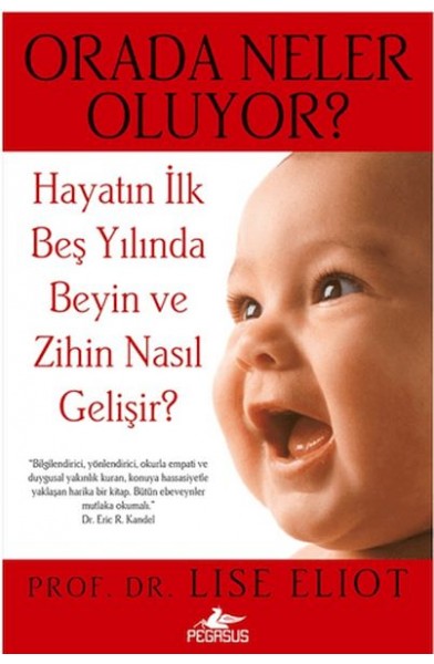 Orada Neler Oluyor Orada Neler Oluyor
