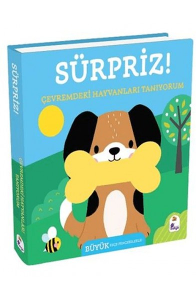 Sürpriz! - Çevremdeki Hayvanları Tanıyorum