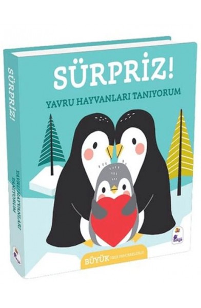 Sürpriz! - Yavru Hayvanları Tanıyorum