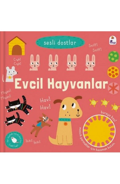 Sesli Dostlar - Evcil Hayvanlar (Sesli Kitap)