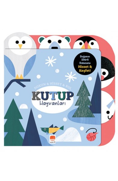 Dokun & Hisset & Bul Kutup Hayvanları