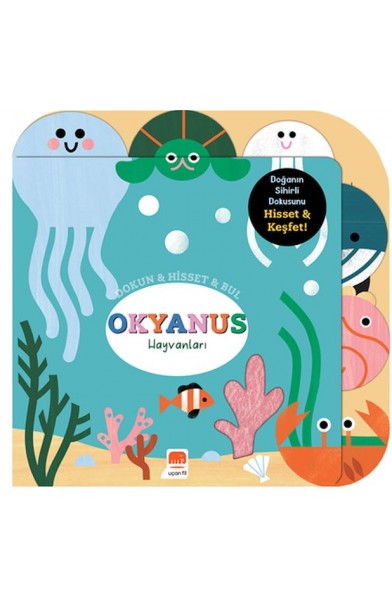 Dokun & Hisset & Bul Okyanus Hayvanları