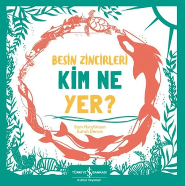 Besin Zincirleri Kim Ne Yer?
